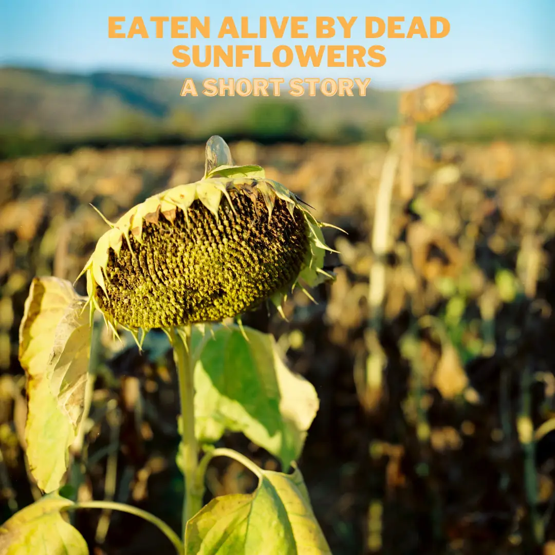 Eaten Alive by Dead Sunflowers